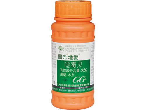 國光地愛