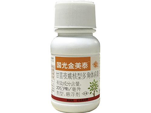國光金美泰100g