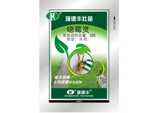 瑞德豐壯苗