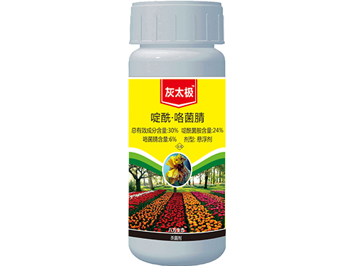 灰太極