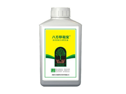 八方移栽寶
