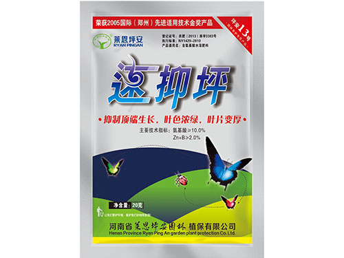 速抑坪