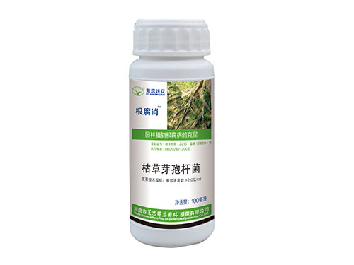 根腐消