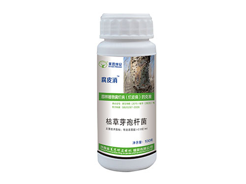 腐皮消