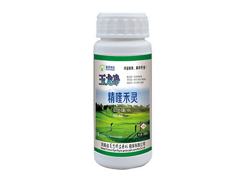玉龍凈