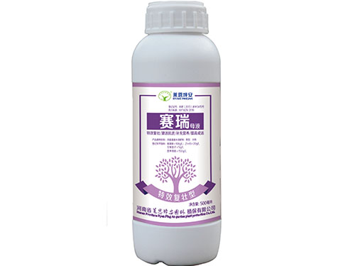 賽瑞