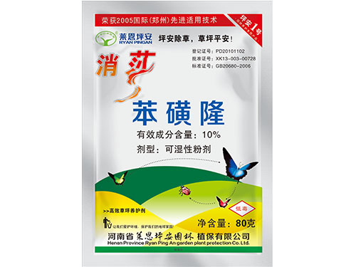 消莎