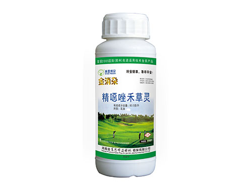 金消雜
