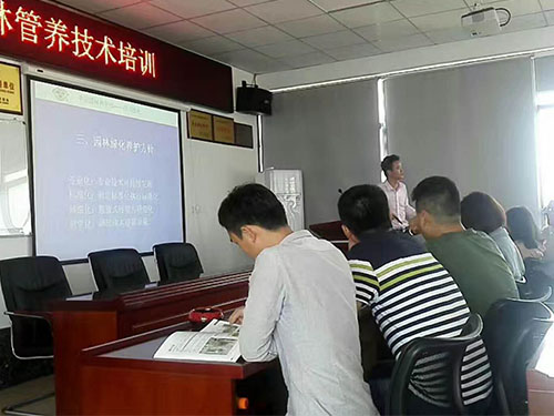 盛景園林養(yǎng)護技術培訓課 (5)