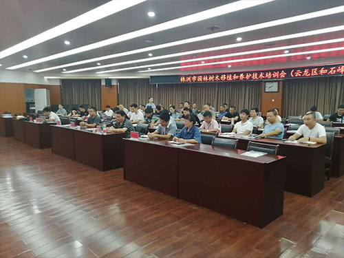 第六場(chǎng)——云龍區(qū)和石峰區(qū)分場(chǎng)