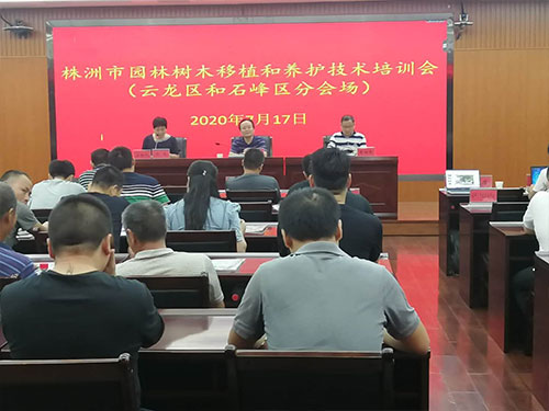 第六場(chǎng)——云龍區(qū)和石峰區(qū)分場(chǎng)