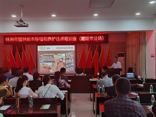 第五場(chǎng)——醴陵市分場(chǎng)