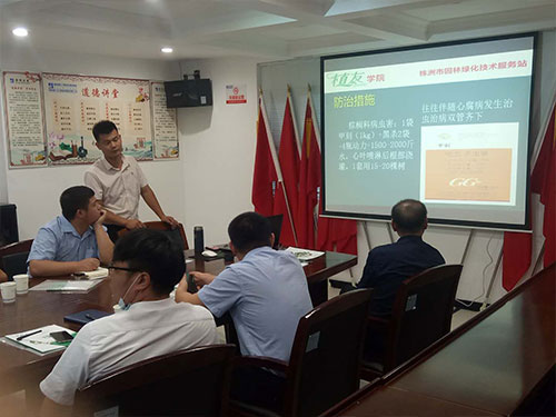 湖南建工匯博物業(yè)綠化養(yǎng)護技術交流會