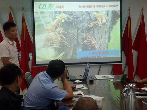 湖南建工匯博物業(yè)綠化養(yǎng)護技術交流會