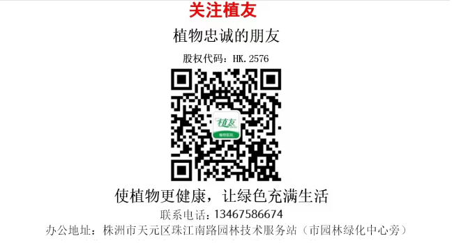 株洲植友職業(yè)培訓學校有限公司_株洲園林綠化養(yǎng)護|株洲綠化管理|病蟲害防治哪里的好|株洲園林綠化工程公司|白蟻防治病蟲害治理