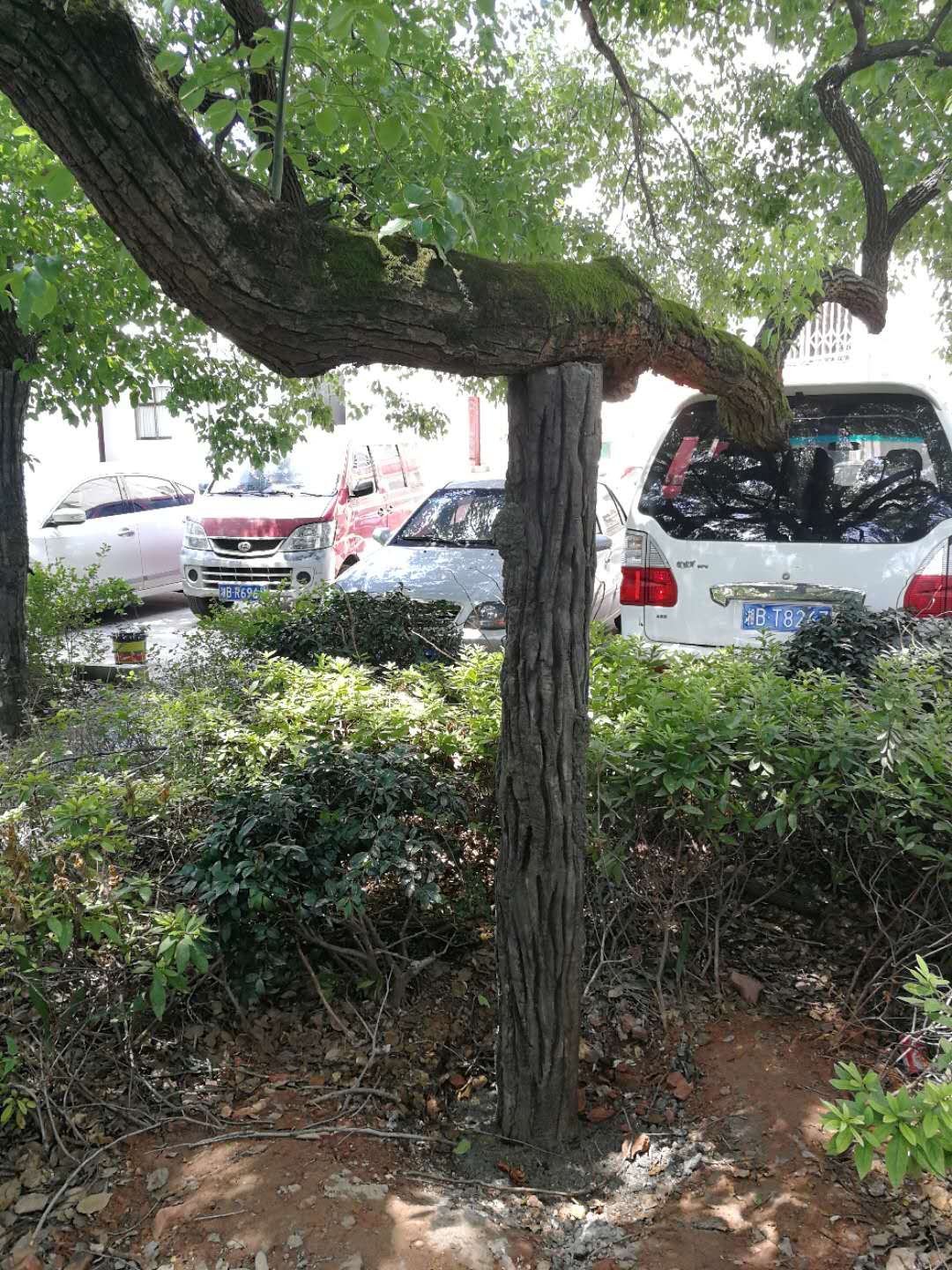 株洲植友職業(yè)培訓(xùn)學(xué)校有限公司_株洲園林綠化養(yǎng)護(hù)|株洲綠化管理|病蟲害防治哪里的好|株洲園林綠化工程公司|白蟻防治病蟲害治理
