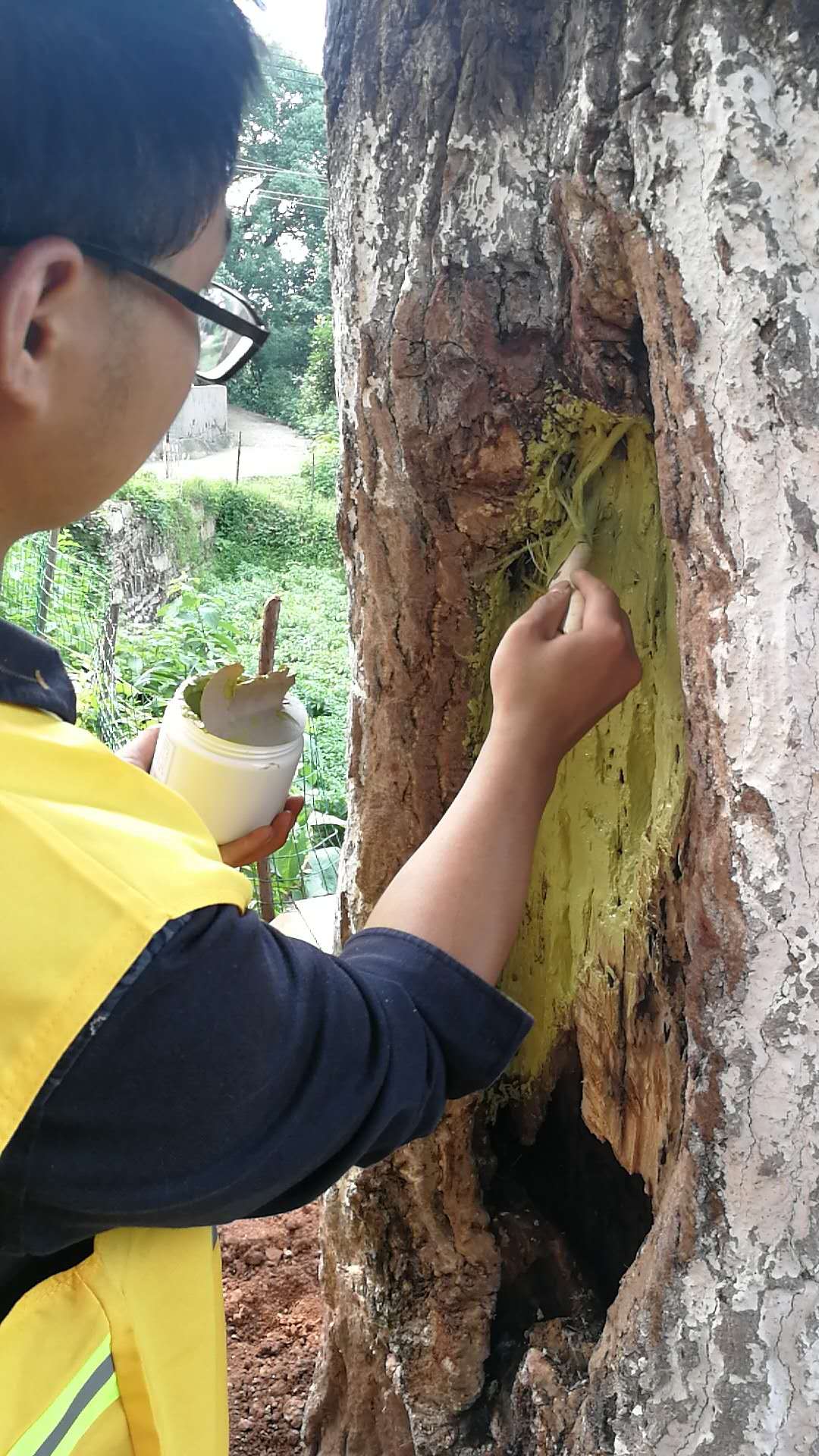 株洲植友職業(yè)培訓學校有限公司_株洲園林綠化養(yǎng)護|株洲綠化管理|病蟲害防治哪里的好|株洲園林綠化工程公司|白蟻防治病蟲害治理